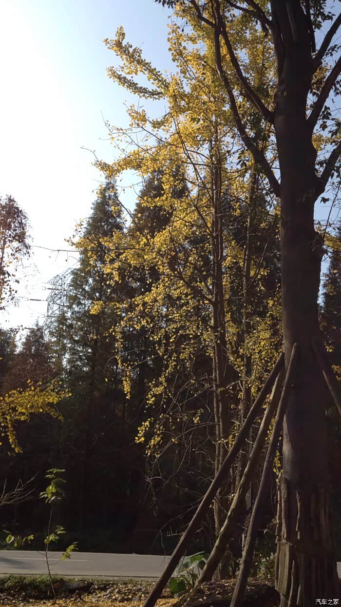 【图】车子停在车位上,屁股什么时候被擦的都