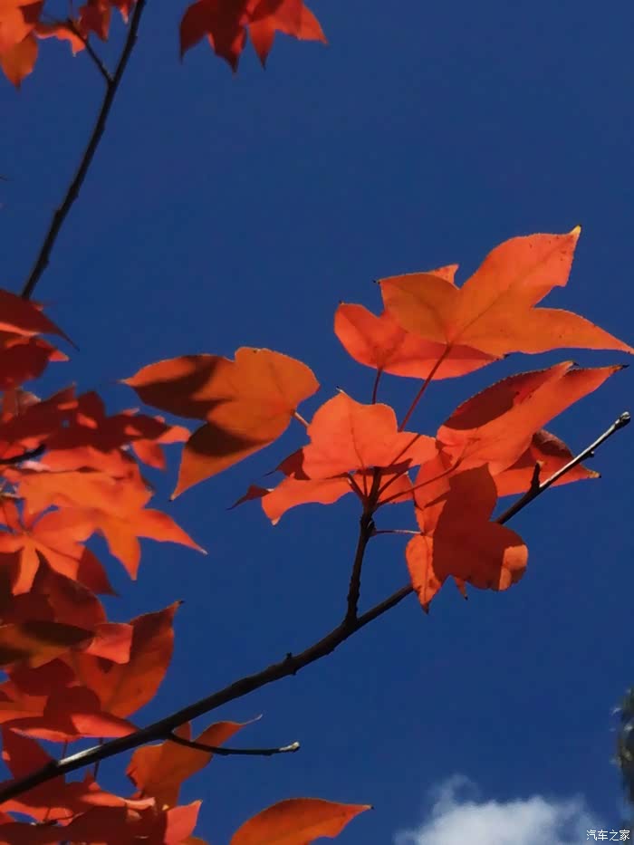 【图】湖光秋月两相和_自驾游论坛_汽车之家