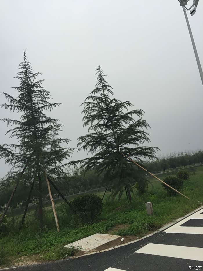 他上头了,竟然和伙计媳妇…只是个哎!