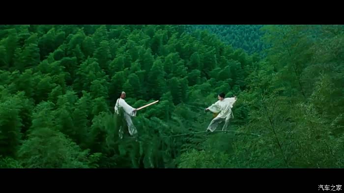 【图】跟随《卧虎藏龙》穿梭于蜀南竹海_锐腾论坛_汽车之家论坛