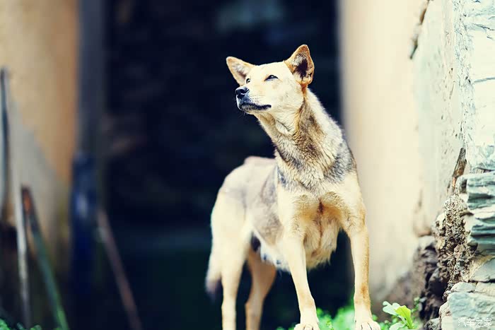 【图】大幅度发_沃尔沃S60\/S60L\/V60论坛