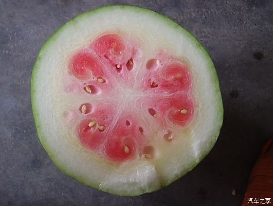 【图】刚买了个西瓜,打开一看》