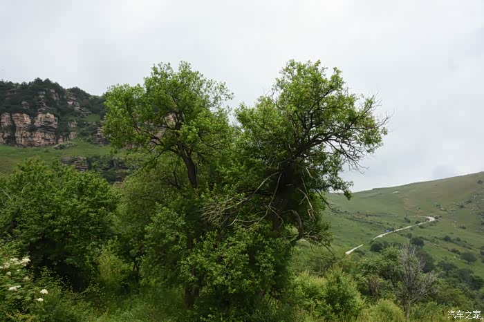 500_wKjB0VedcIiAdOiFAAxe4GyDiU8724.jpg