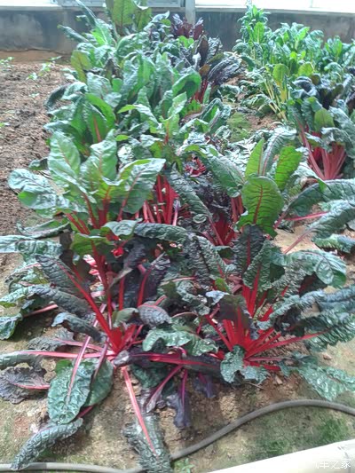 保养后,带着<em>妹子</em>竟然在<em>桑拿房</em>里。_瑞风S3论