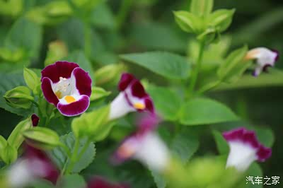 浙江-台州市-椒江区-市民广场