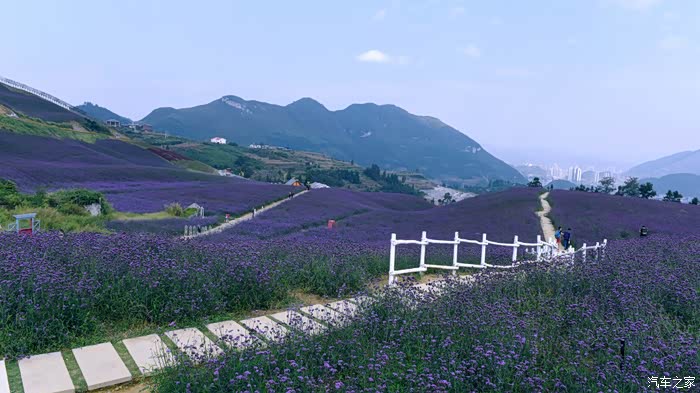 【图】约起!贵州桐梓黔北花海