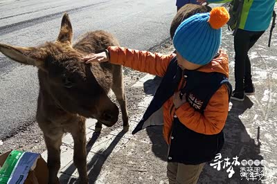 【寻梦大香格里拉】2015年国庆香格里拉大环