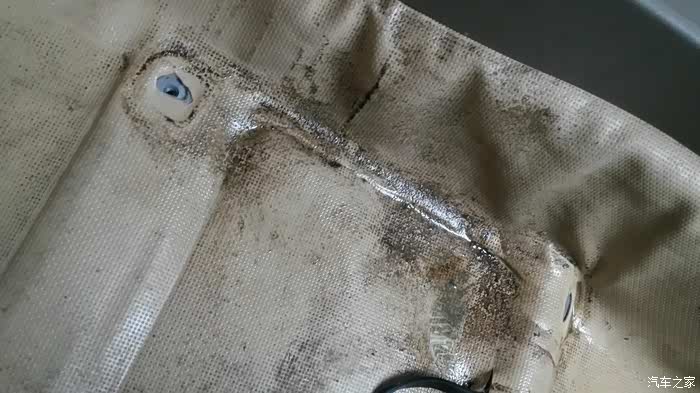 【图】<em>我的小三</em>好美啊!兄弟<em>姐妹</em>都来围观哦_五