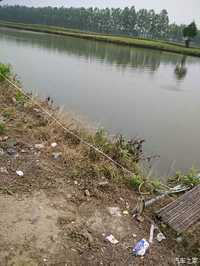 鱼获美食之黄辣丁,刁子鱼一锅鲜