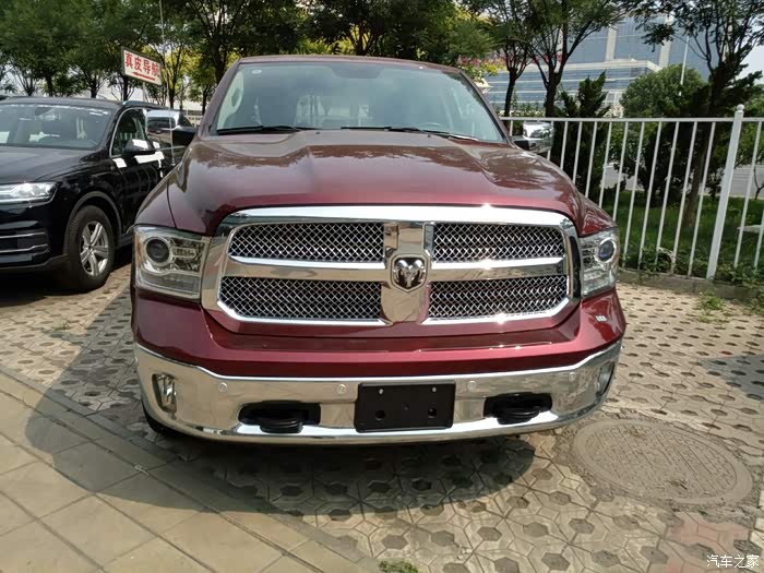 【图】没事,转转,偶遇美国大公羊