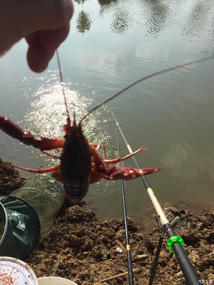 【图】爱我的人,谢谢你_钓鱼论坛_汽车之家论