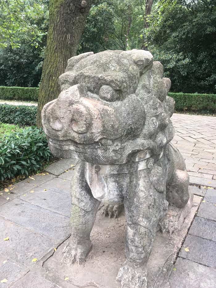 【图】我们不进球,我们只是足球搬运工!_北京