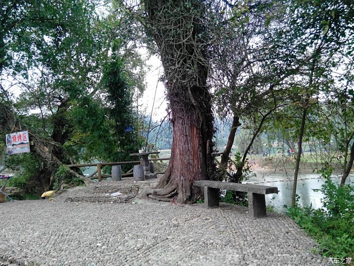 江南水乡,美丽乡村入梦来(锦屏县敦寨镇雷屯村自在之旅)