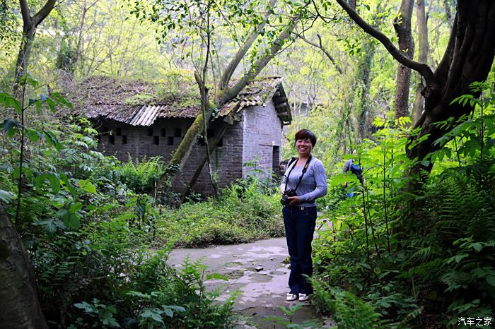 清明郊游:松林坡绿树成荫,北温泉春意盎然