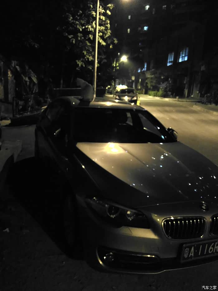 【图】晚上回家看见小猫爬车了,还有重型机车