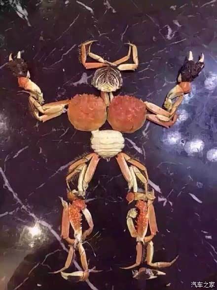 又能吃又能玩,螃蟹太不容易了