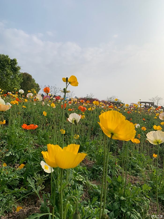 春暖花又开美景自然来