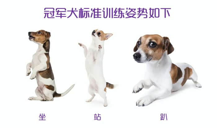 【图】冠能来了!股市刘翔打车都不是事儿了