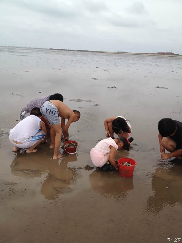 【图】河北大城去天津大港挖蛤蜊_天津论坛_汽车之家论坛