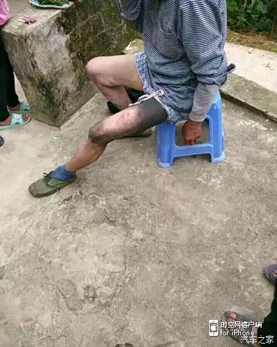 【图】黑完了!请问这个是什么蛇?_宝骏630论