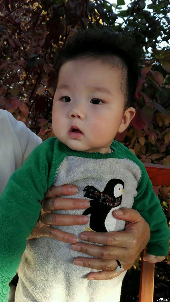 【图】《缘分落地生根是我们》--偏门棕新C提