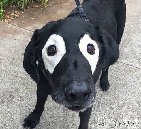 【图】汽车之家被平安保险收购了