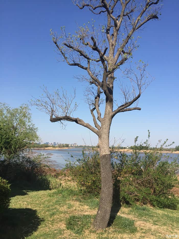 【图】有没有山东潍坊的奥迪A4L微信群。_奥