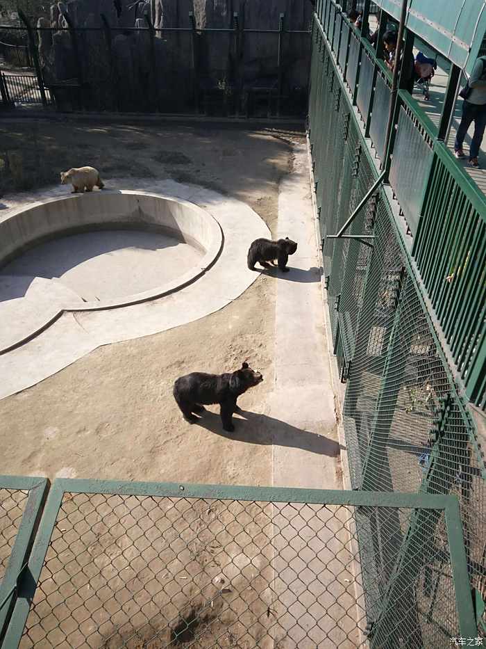 【图】初冬时节太原动物园_山西论坛_汽车之家论坛