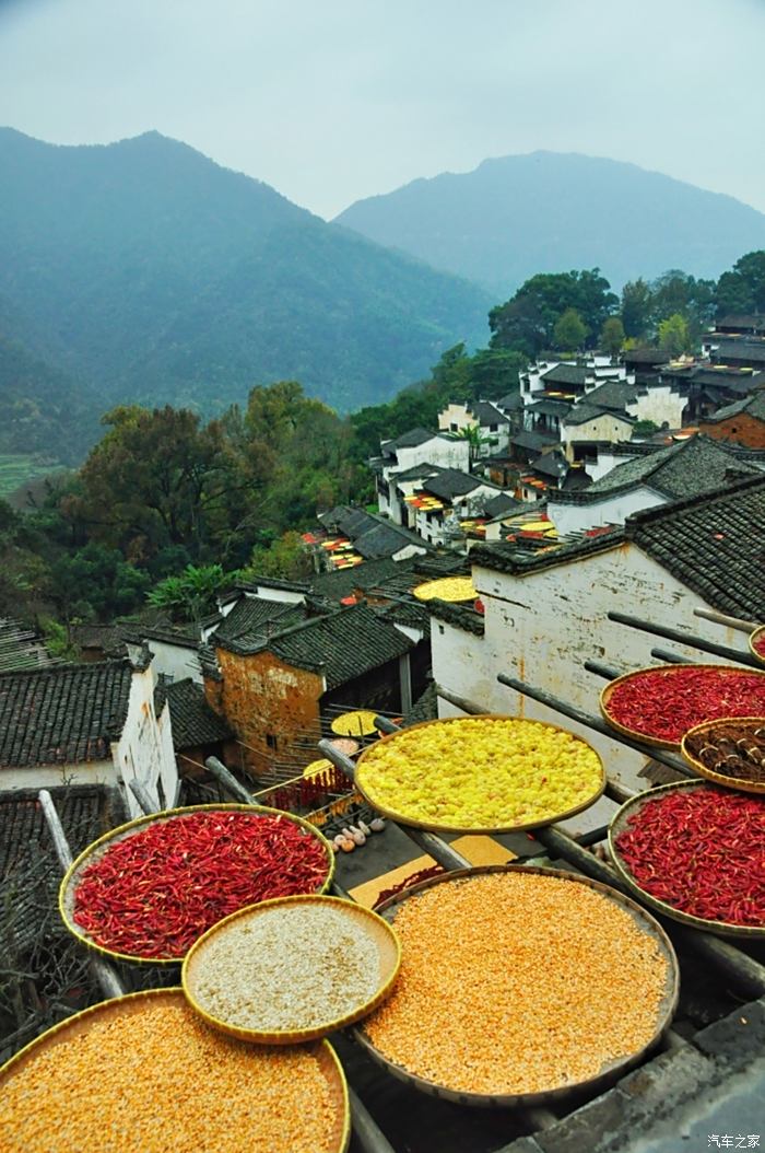 迎暖春送积分炫丽婺源秋日美景