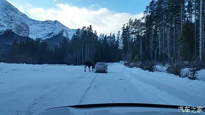 开着大索去旅行,游览小李子奥斯卡得奖电影拍