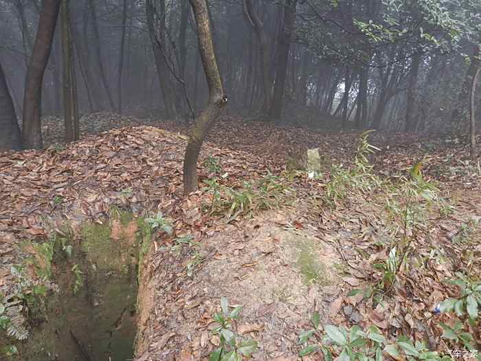 【积分大放送】宛委山:春天在这里