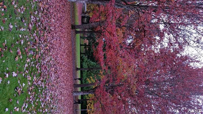 加拿大自驾游感受高速路无收费站的畅快(东部