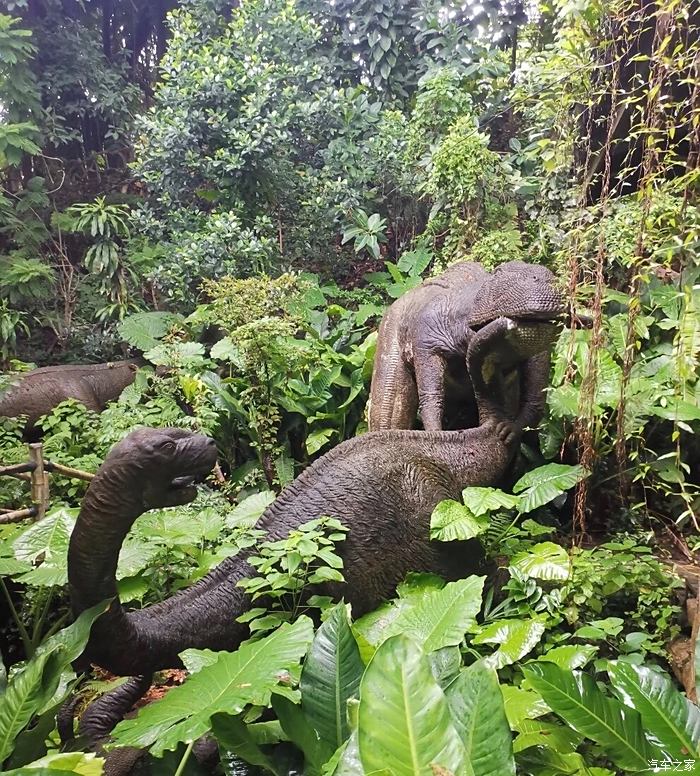 万物复苏送福利深圳之旅青青世界