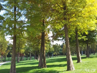 湖光秋月两相和