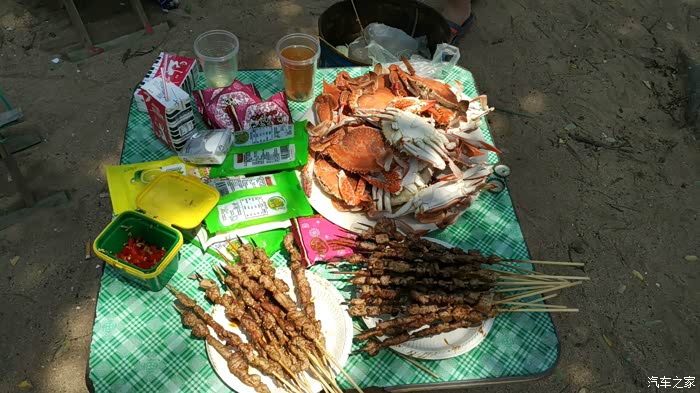 【图】银V3车主组织聚会烧烤活动