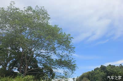 阳光、沙滩、海浪、椰林--苏梅岛自由行(1)_四川