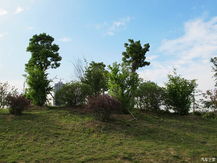 【图】山南中央公园的休闲时光