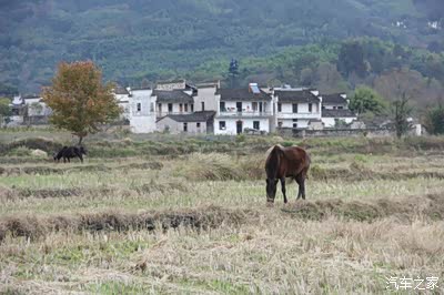 醉美徽州---汽车之家芜湖车友会塔川赏秋自驾游