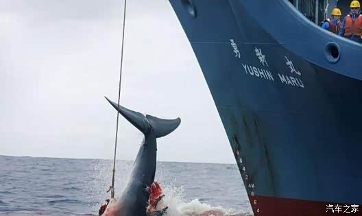 【图】【2016我最喜欢的东西】一个真爱粉眼