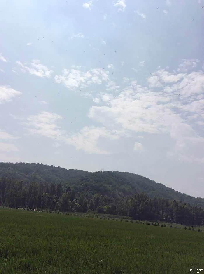 南妮湾简谱_怪鸭历险记南妮图片