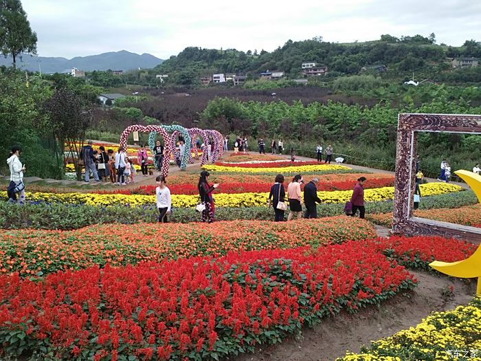 凤凰花海半日游