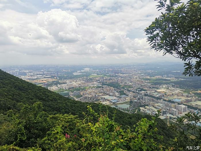 逸起登爬莲花山