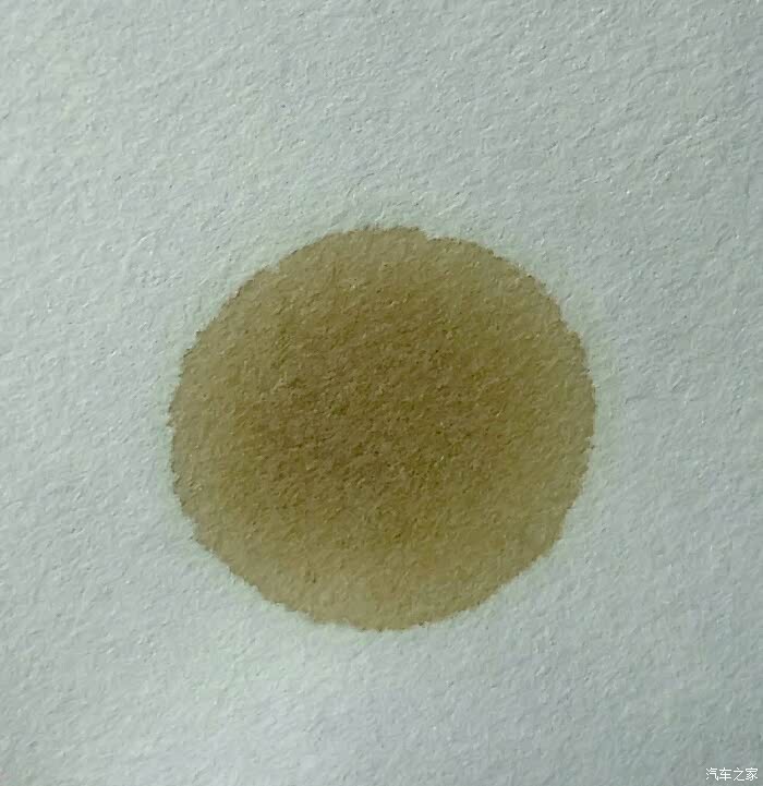 【图】快速定性滤纸,12小时候的样子,帮忙看下