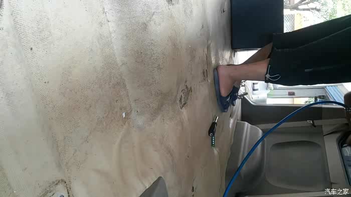 【图】<em>我的小三</em>好美啊!兄弟<em>姐妹</em>都来围观哦_五