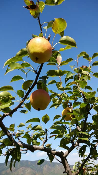 【雪铁龙C3-XR杯】好山好水好风景 十一金秋