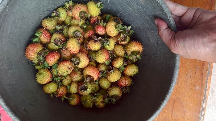 第一次弄刺梨泡酒