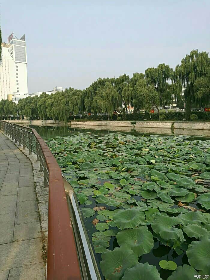 肥城市新城是哪年建的 500_wKgH31fcFrOAYFEmAAQsohPsWRs325.jpg