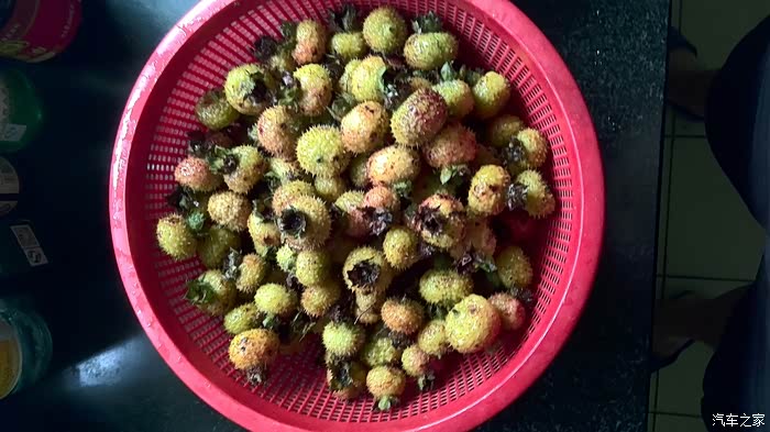 【图】第一次弄刺梨泡酒