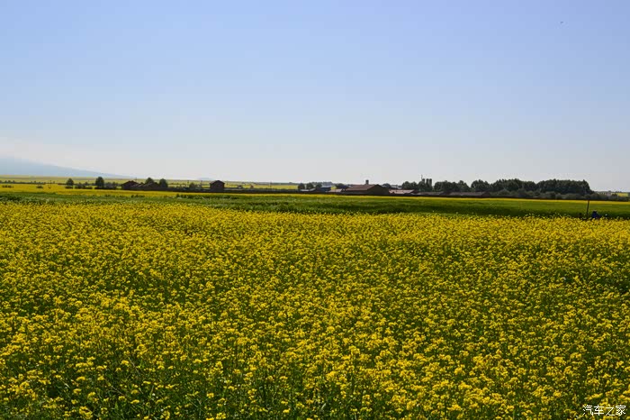 七月是花开的季节漫上个花儿解个心中的忧