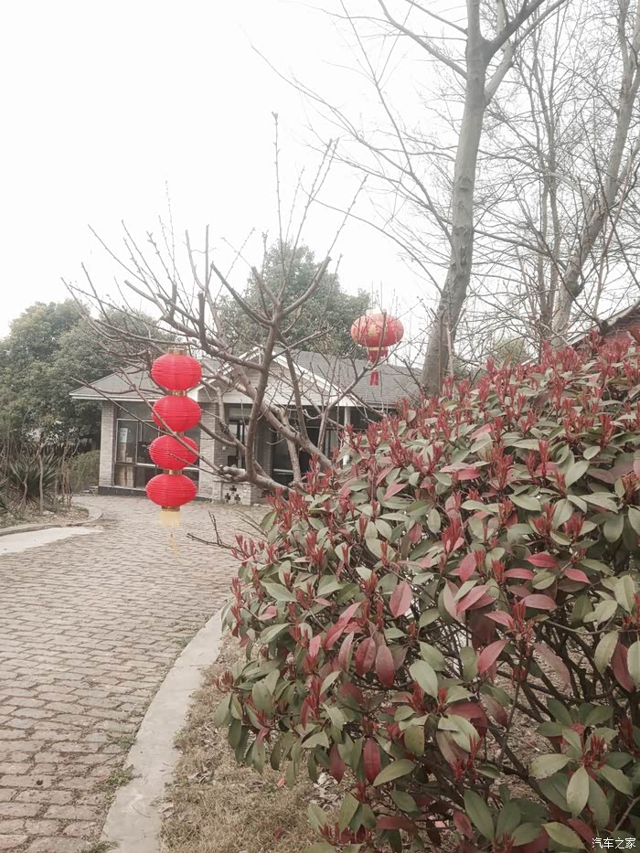 【图】南京麒麟青未了休闲农庄休闲记_斯巴鲁